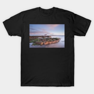 Forth View T-Shirt